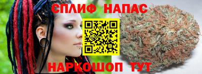 крисы Аргун