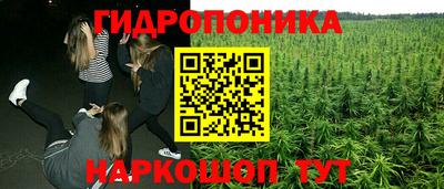 ГАЛЛЮЦИНОГЕННЫЕ ГРИБЫ Бийск