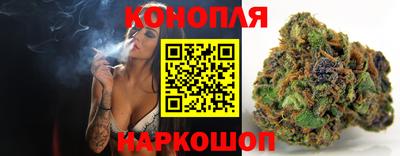 крисы Аргун