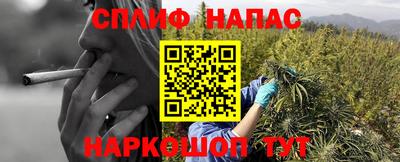 крисы Аргун