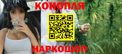 крисы Аргун