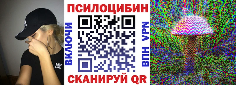 Псилоцибиновые грибы Psilocybine cubensis  Видное 