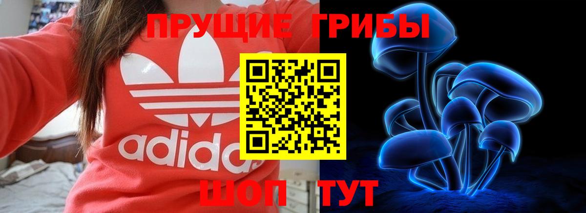 Видное  Галлюциногенные грибы Psilocybe  Вход с VPN 