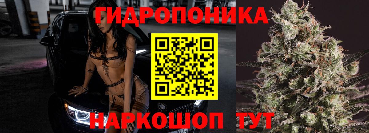 Бошки Шишки марихуана  Каннабис Amnesia  Видное 