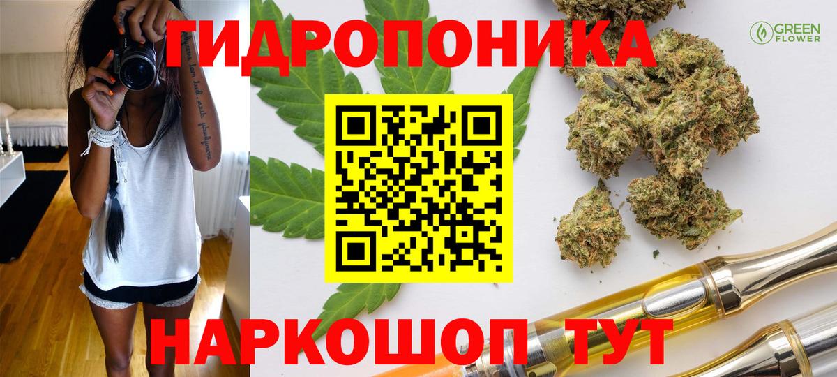 Видное  Бошки Шишки ГИДРОПОН  Вход с VPN  Каннабис марихуана 